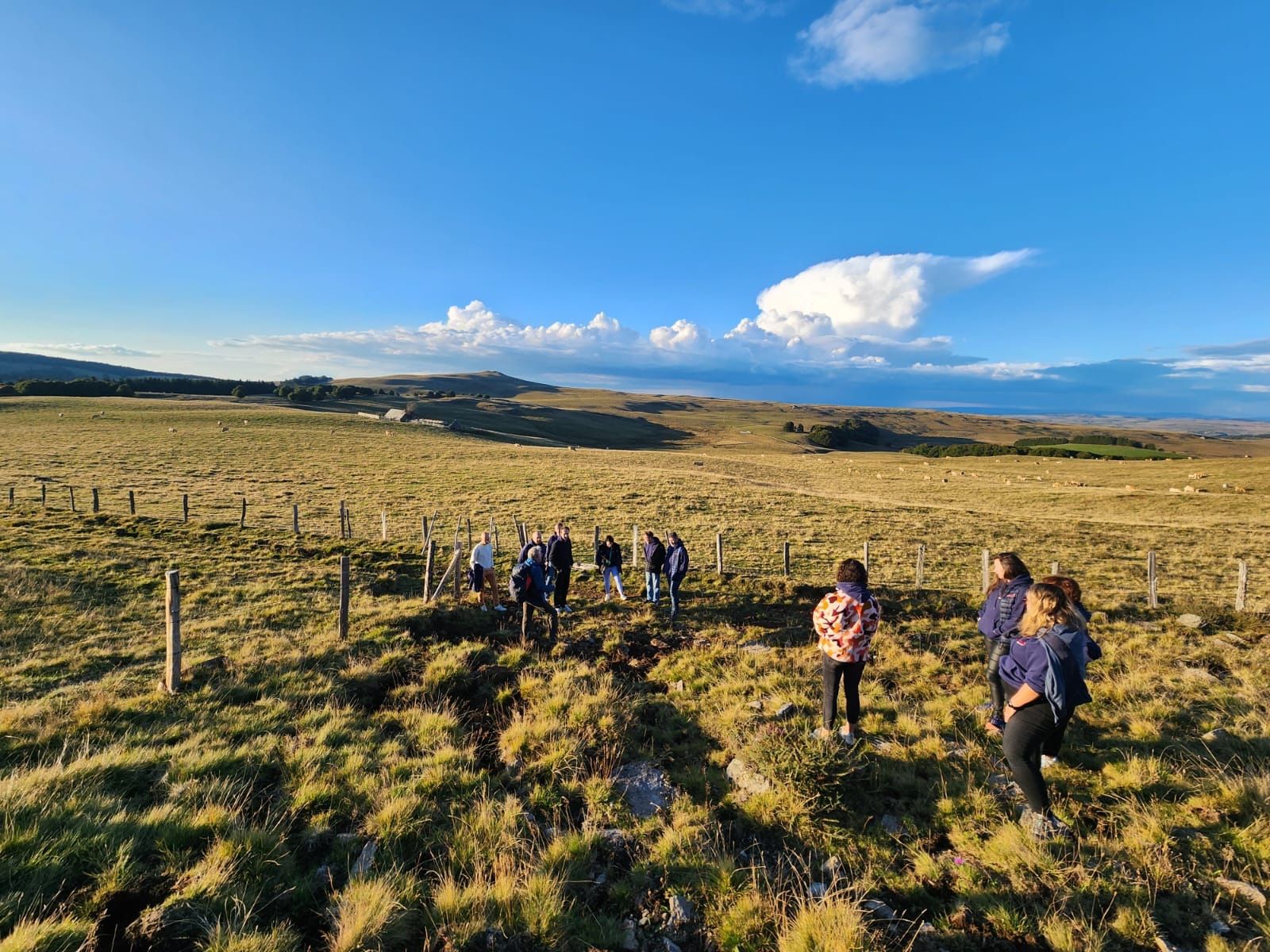 Diversification ancrée dans le territoire